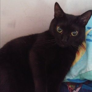 Meet your Posher, Carrie